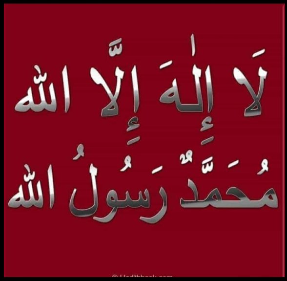 Kanımızla yazdık biz yazmaya devam edeceğiz. Avrupa bunu çok iyi biliyorsunuz.