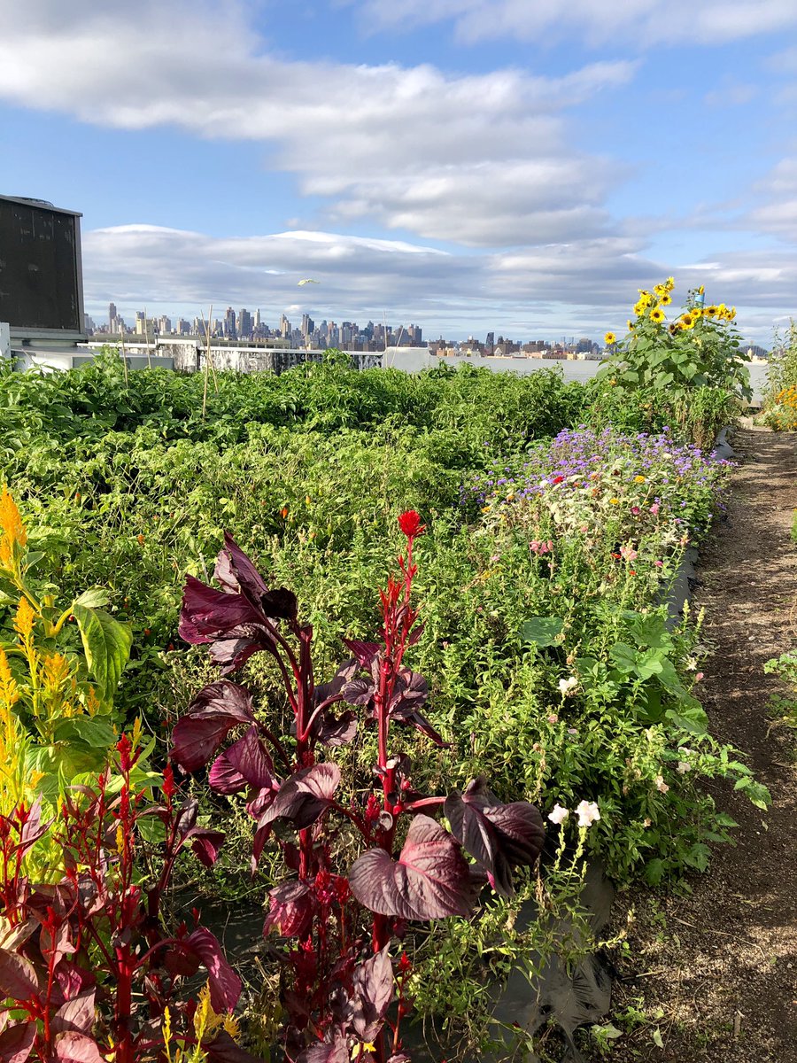 Dr. Blaire Moskowitz tweet media