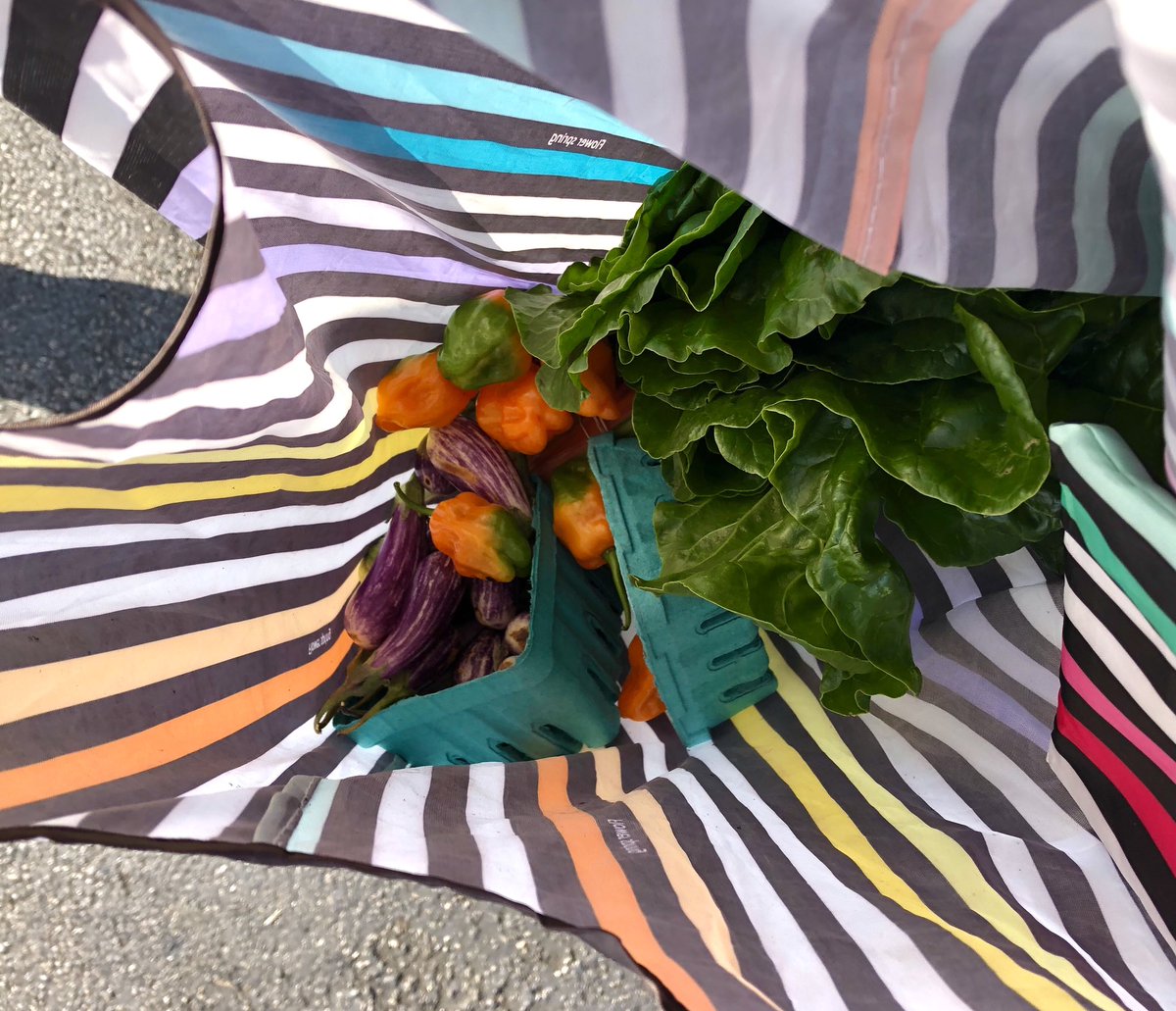 Dr. Blaire Moskowitz tweet media