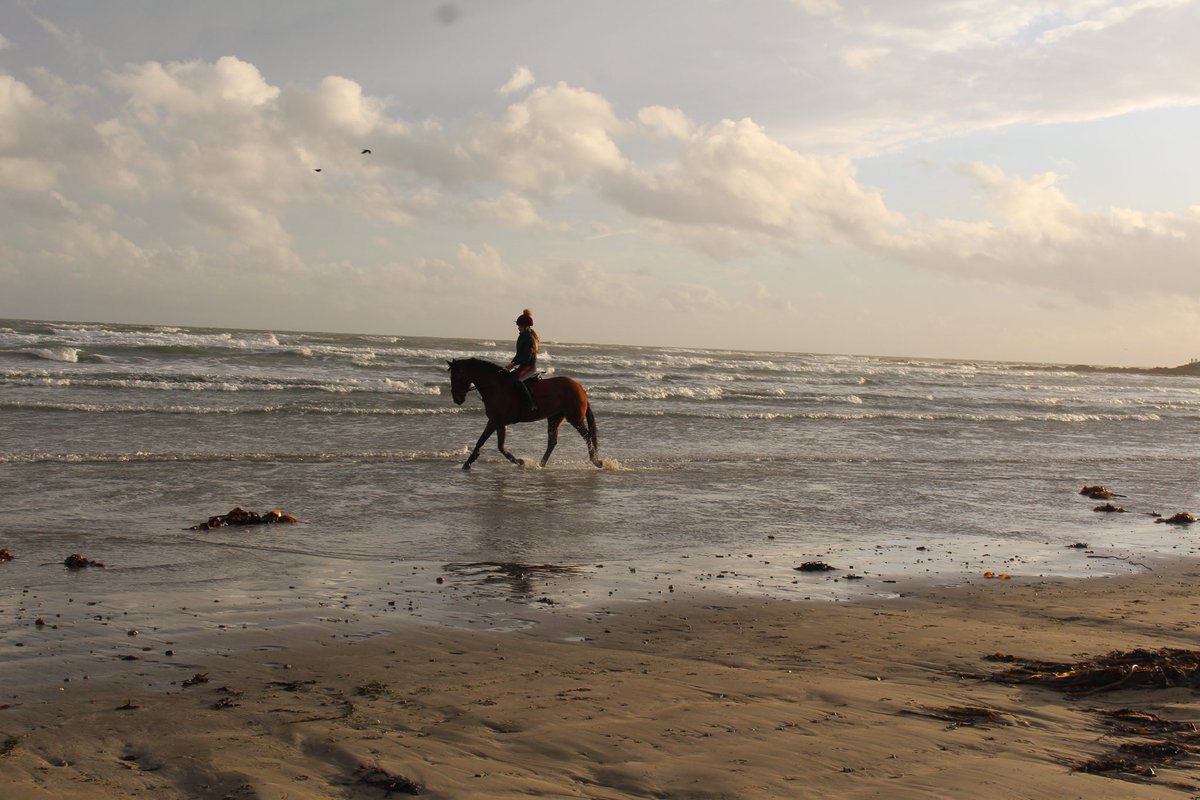 SophieTyner's tweet photo. Top Tip: buy him a snazzy camera to take pics of you and your pony playing on the beach 😉🦄 #mournemountains #tyrellabeach https://t.co/rsoxeXcYEV