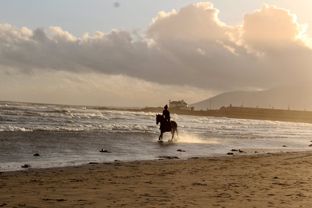 SophieTyner's tweet photo. Top Tip: buy him a snazzy camera to take pics of you and your pony playing on the beach 😉🦄 #mournemountains #tyrellabeach https://t.co/rsoxeXcYEV