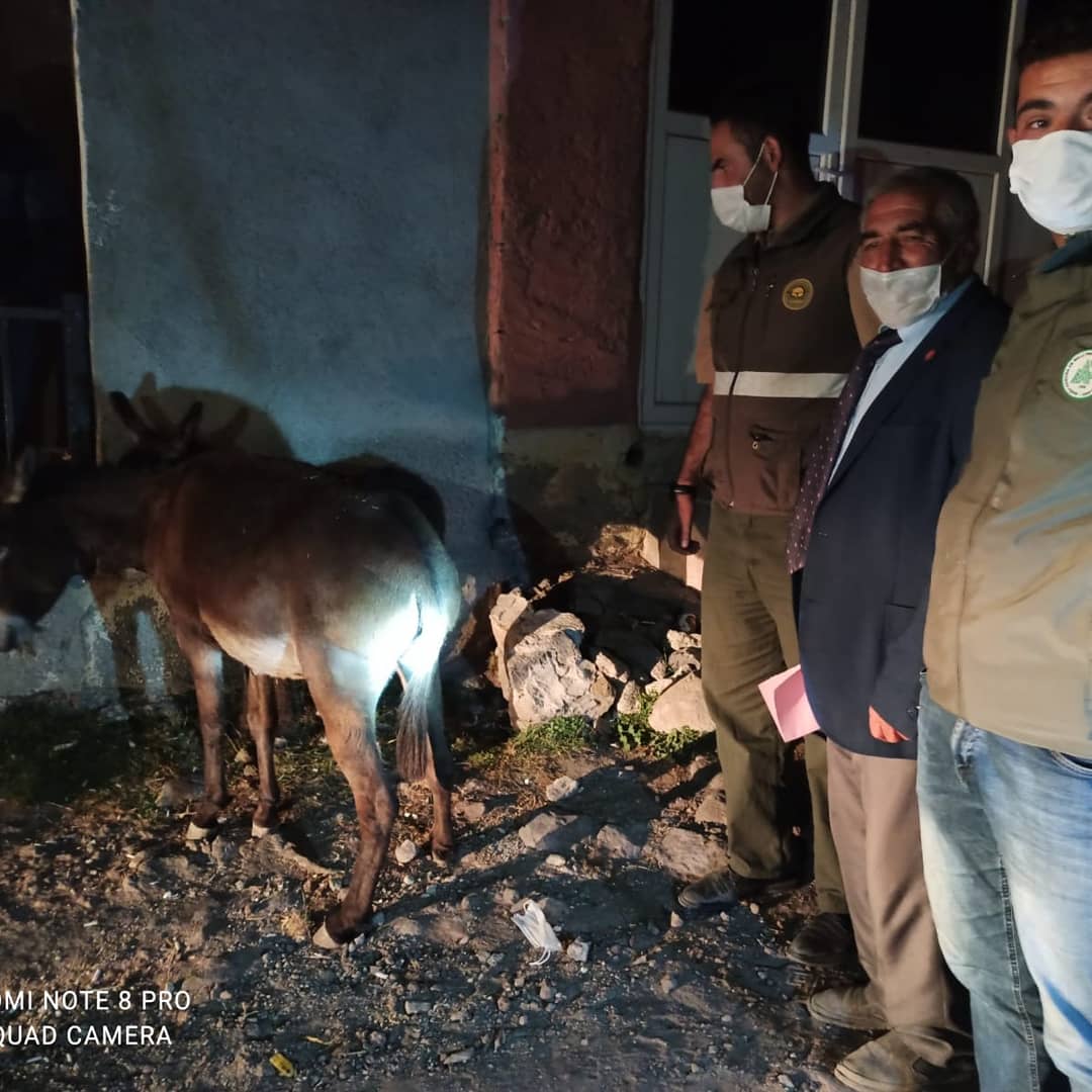 Sosyal medyada eşek yavrusuna kötü muamele edildiği ihbarı üzerine DKMP İl Şube Müdürlüğümüzce  Digor Alem Köyünde oldukları tespit edilen şahıslara idari yaptırım uygulanmış olup, kötü muameleye maruz kalan hayvana el konularak koruma altına alınmıştır.