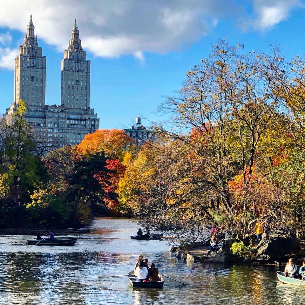 IrenaKaranetzMD's tweet photo. Autumn in New York 🍂🌾🍁

This city stole my heart almost a decade ago 💛

📸 Photo from my 2019 archives
•
•
#autumn #fallinnyc #fallvibes #fallfoliage #favoritecity #newyorkcity #centralpark #photography #hobby #memories #precoviddays

@newyorkinsta 
@TimeOutNewYork https://t.co/YCqnMYFEoR