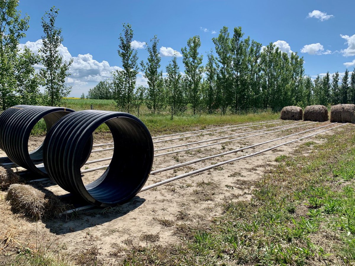 Xplornet’s District Manager in Alberta South, A.J. Struyk, took this photo of one of his family’s favourite rural pastimes: Rat Races! Similar to a hamster ball, the participant runs in-place and races against a friend or family member. #RuralAlberta https://t.co/EjBzIGJ2FP