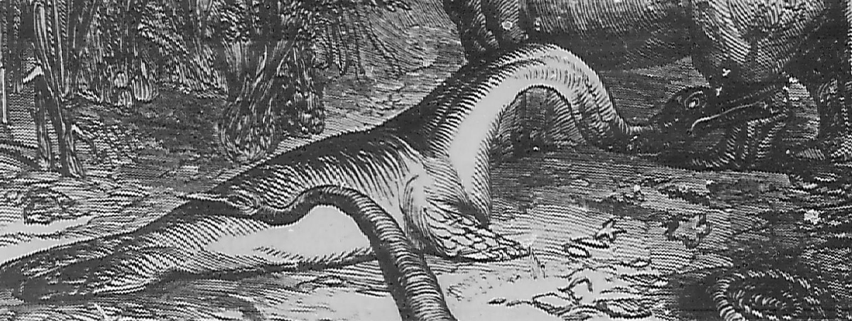 1853 illustrations of the P. macrocephalus model show that the original head of was much bigger - of appropriate size for this species. (This illustration is accurate in all testable details, so I assume it's a reliable record of the original model).