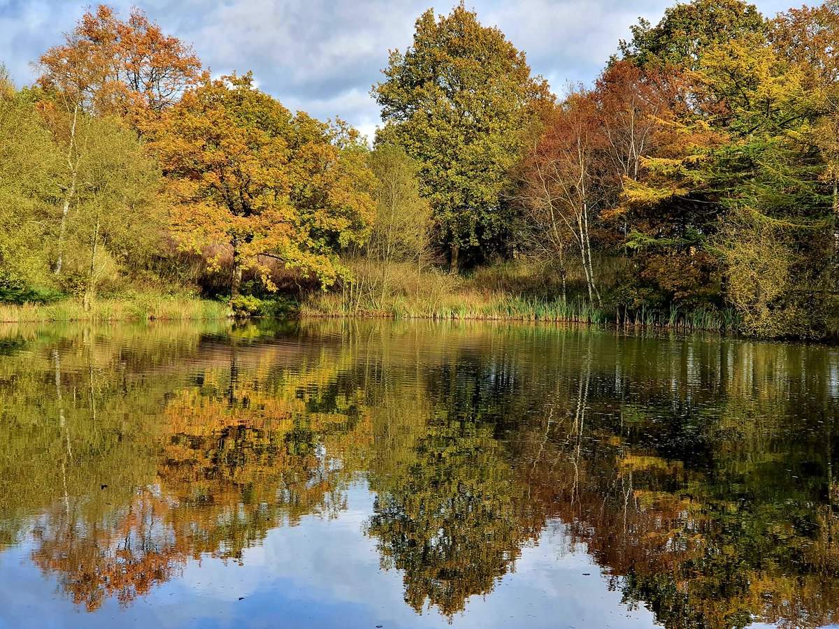 sharronlb102's tweet photo. Went for a walk in Consall Nature Park today, haven't been for years. It's nice π
#consall
#staffordshire https://t.co/APl6PFWLgn
