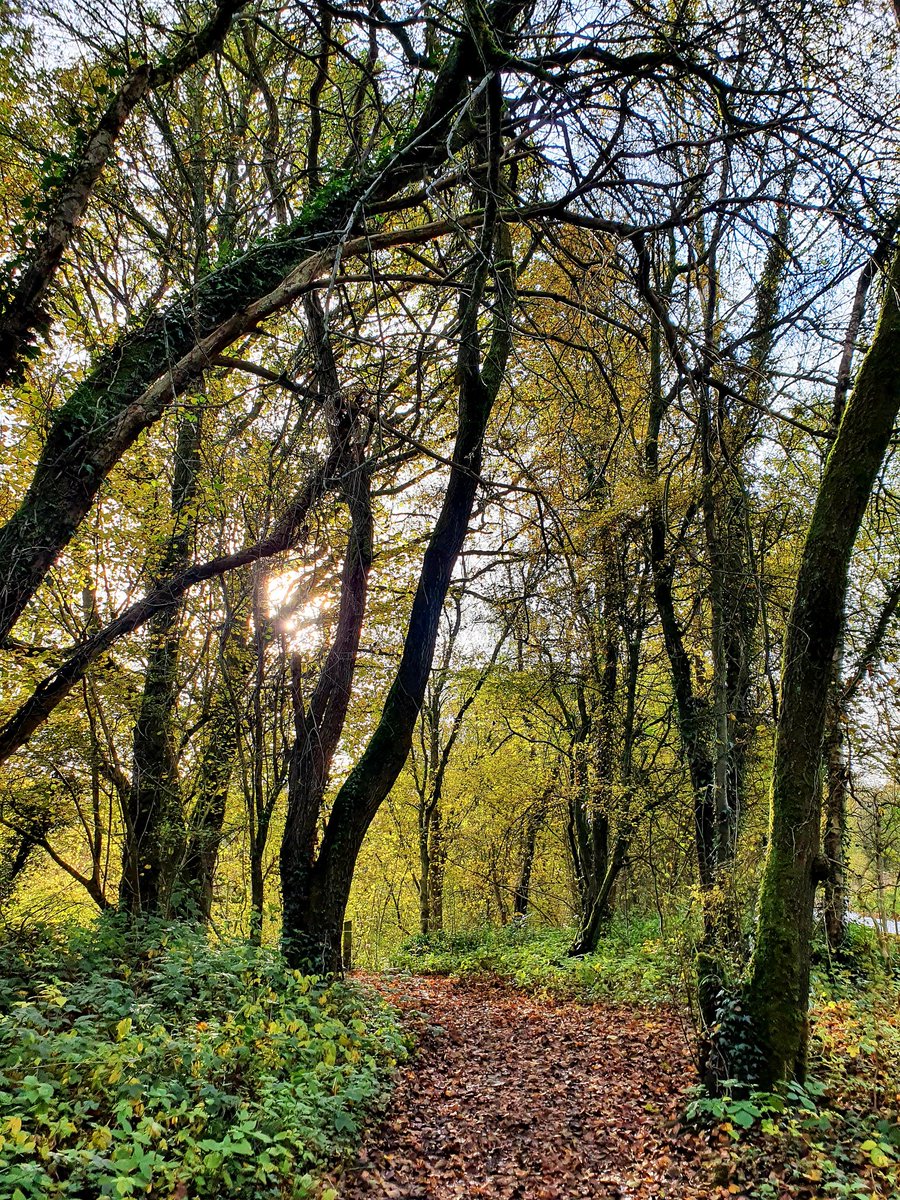 sharronlb102's tweet photo. Went for a walk in Consall Nature Park today, haven't been for years. It's nice π
#consall
#staffordshire https://t.co/APl6PFWLgn