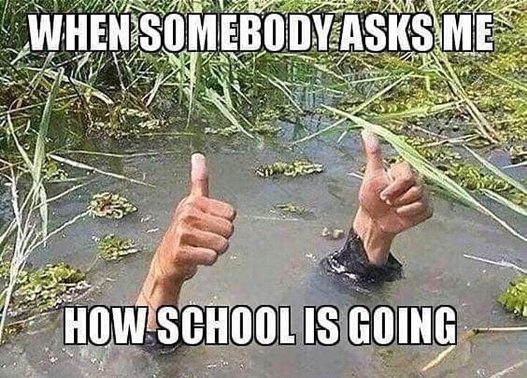 schoolsuccess20's tweet photo. Feel like you’re drowning?
Whether you’re a parent homeschooling for the first time, a teacher in a new world, a tutor, a parent with kids struggling with hybrid learning, or anything in between, let us help! 
Plus use BACKTOSCHOOL25 for 25% off!
#successinschool #schoolsuccess https://t.co/tiaivWYTlN