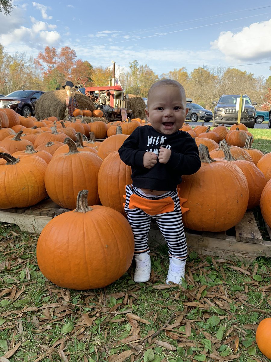_yogirlcass's tweet photo. 🍂🎃💛 https://t.co/FMy9fo2S5J