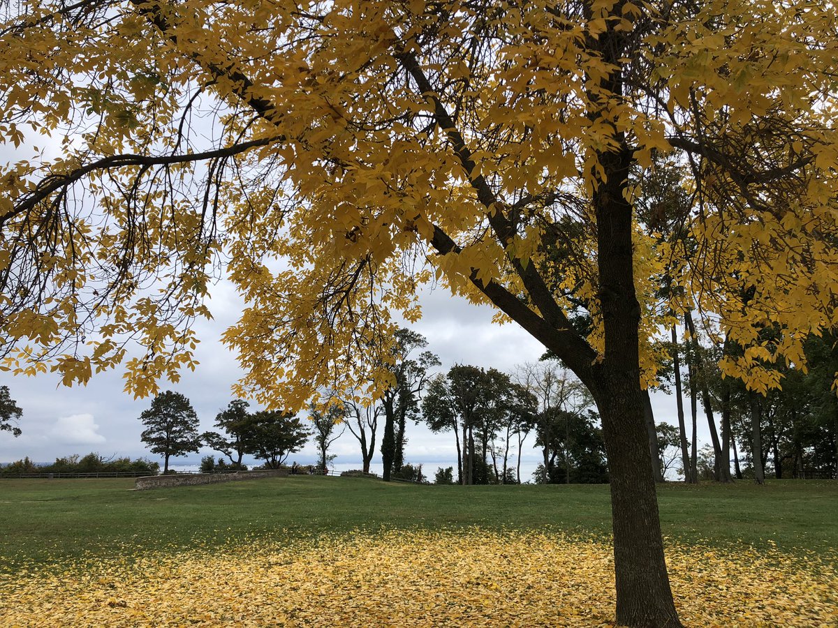 SPPConservancy's tweet photo. Autumn colors are gorgeous across the Preserve - the rose garden is still blooming in bright pink overlooking the Long Island Sound https://t.co/uhpxEjhXvy