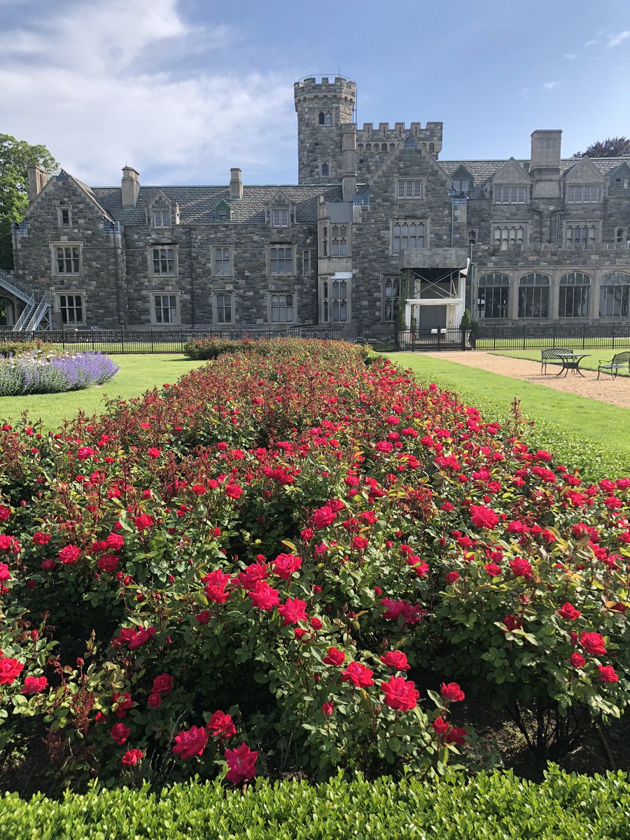 SPPConservancy's tweet photo. Autumn colors are gorgeous across the Preserve - the rose garden is still blooming in bright pink overlooking the Long Island Sound https://t.co/uhpxEjhXvy