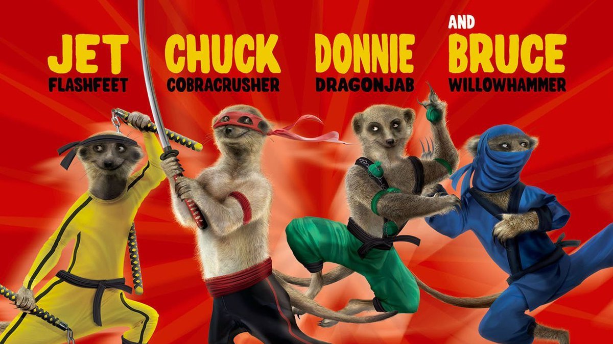 Ninja Meerkats (@NinjaMeerkats) / Posts / X