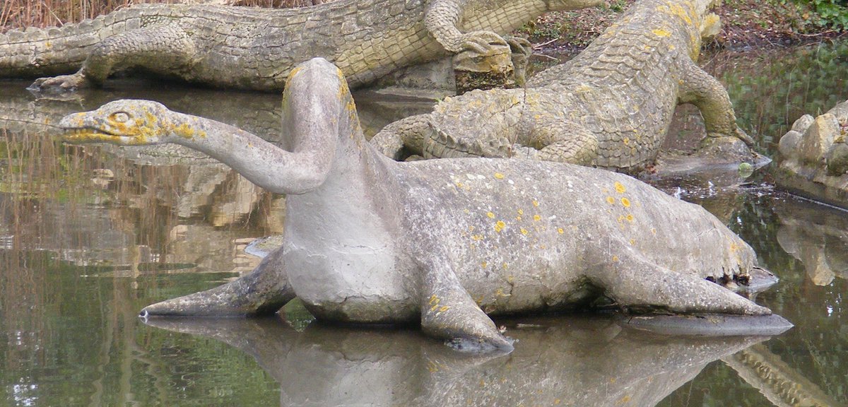 As shown in the film, the replacement head is pretty small - not the same, long-faced version seen in the 1853 illustration. It was likely modelled on those of the neighbouring smaller-headed plesiosaurs, robbing the macrocephalus model of a characteristic feature.