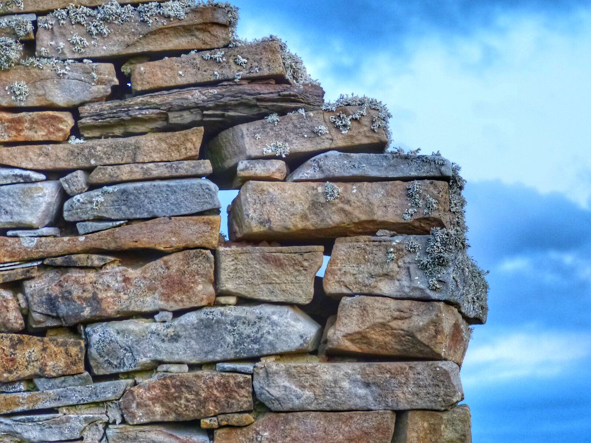 2Newlot's tweet photo. Do love stone and lichen and together they are just amazing! #Orkney #lichen #stonebuilt https://t.co/JyW820c1n7