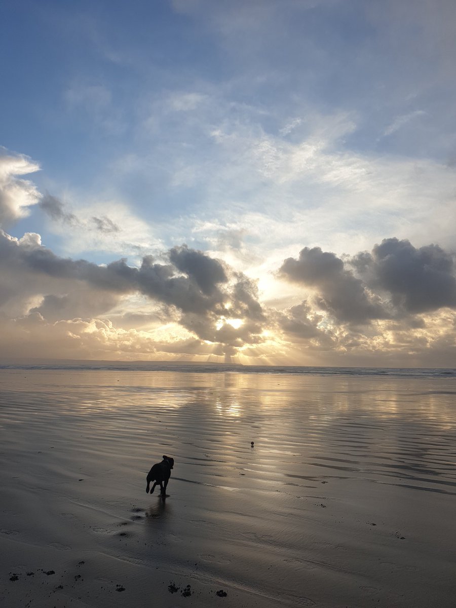 Lovely walk at saunton beach with our dog.