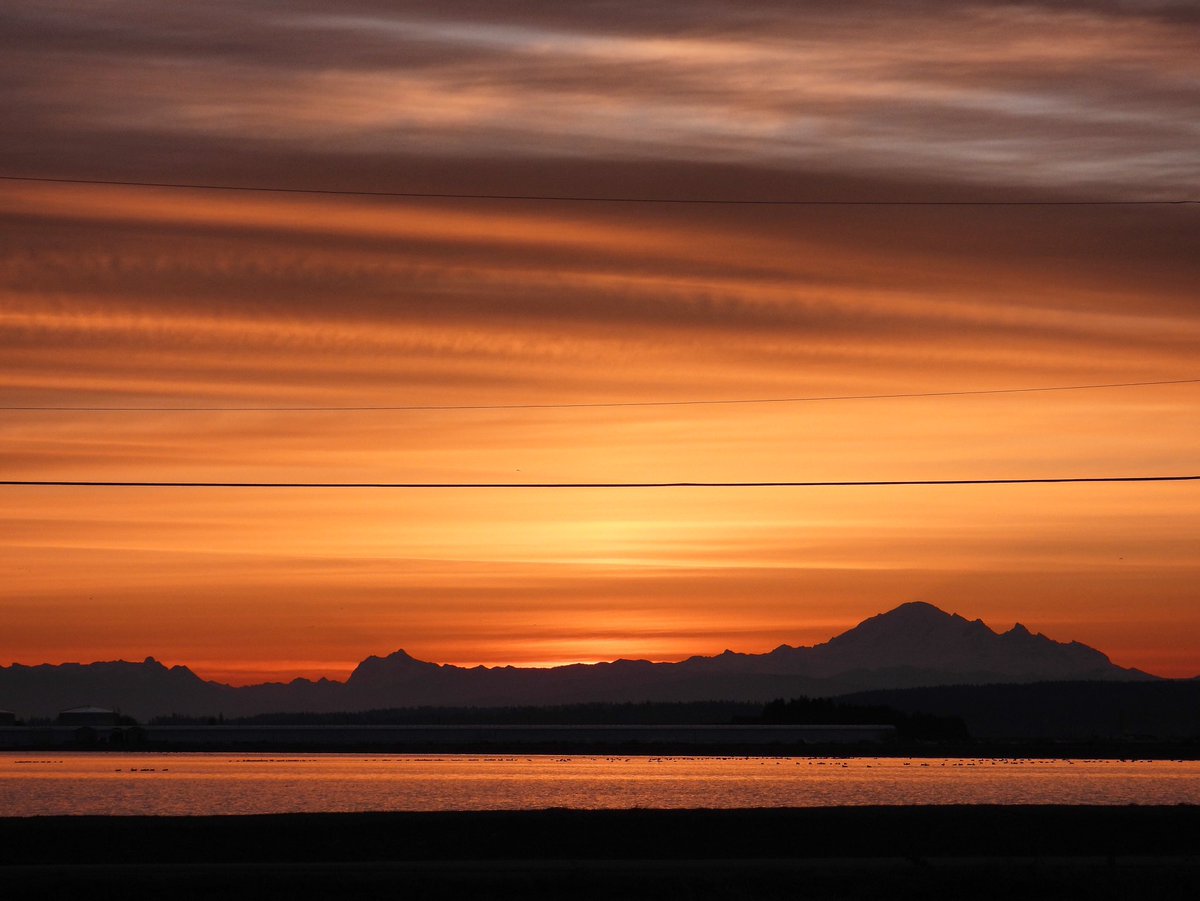 Delta dawn - Sunday 25 October 2020 - mount Baker on the horizon - have a wonderful day everyone! Stay safe, stay warm!! Be kind always and please respect nature and wildlife! πππβ€οΈβ¨ #exploredelta #sunrise #dawn #viawesome #vancouver #canada #mountbaker #nature #explorebc https://t.co/UlwNfIR80I