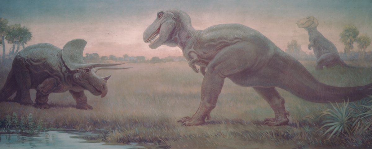 For folks interested in historic palaeoart, this is quite a big deal. It's the equivalent of someone damaging everyone's favourite Charles Knight mural and then replacing Triceratops with Centrosaurus or Tyrannosaurus with Allosaurus.