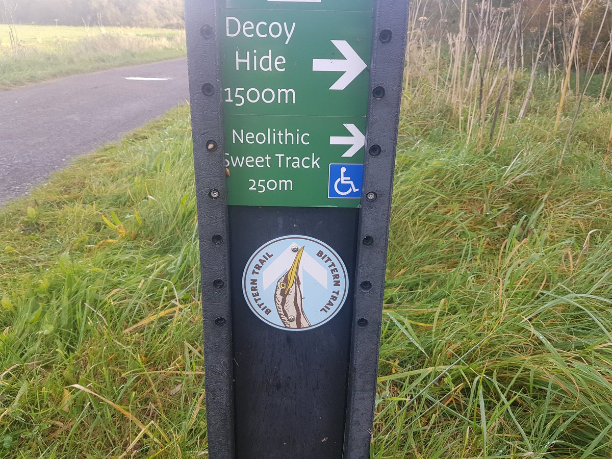 DrKathWalker's tweet photo. Lovely to follow in #Neolithic footsteps along the reconstructed #SweetTrack (3806BC) timber trackway in the #Somerset Levels this afternoon. https://t.co/jMOrnVWLSI