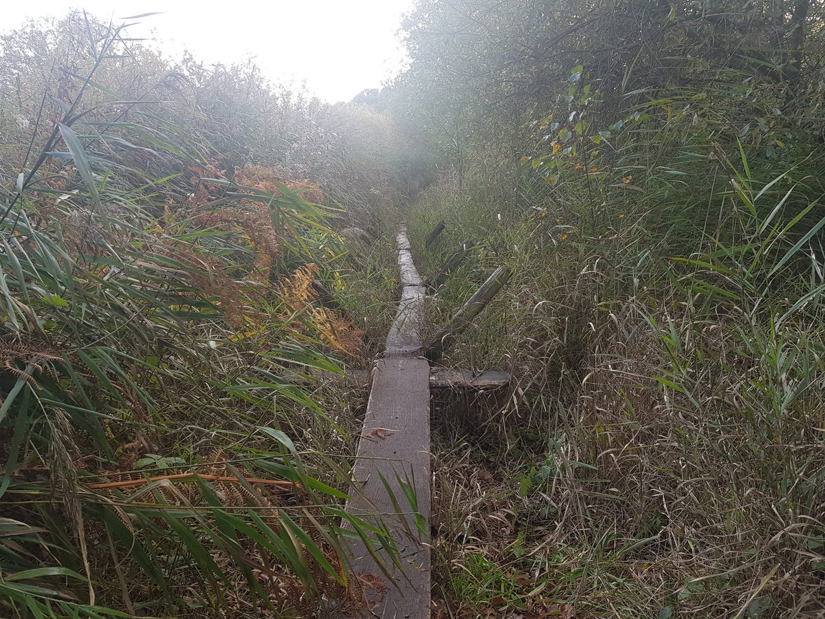 DrKathWalker's tweet photo. Lovely to follow in #Neolithic footsteps along the reconstructed #SweetTrack (3806BC) timber trackway in the #Somerset Levels this afternoon. https://t.co/jMOrnVWLSI