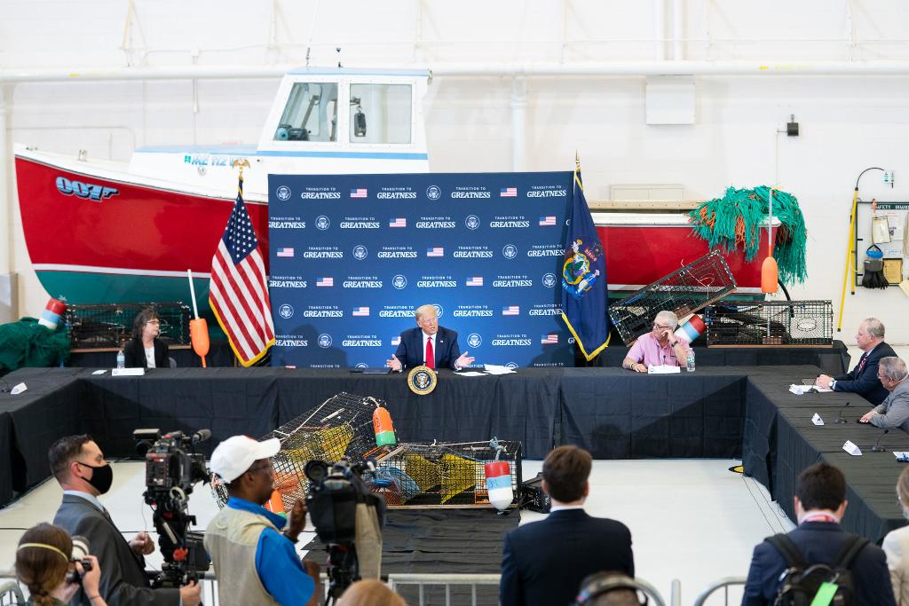 realDonaldTrump photo