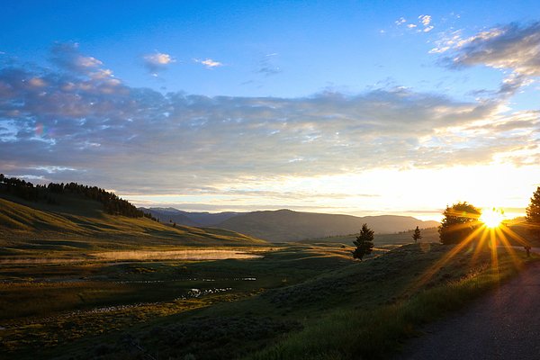 SippingEmergers's tweet photo. New artwork for sale! - "Yellowstone Morning" - https://t.co/RxSvTgGJRD @fineartamerica https://t.co/ZTCtv4IPaV