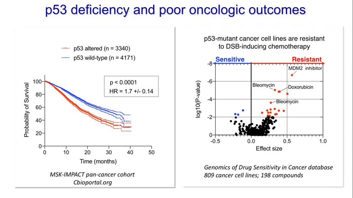 1/3 Interesting data from  @guptalabunc lab on cellular radioresistance mediated by TP53 which accelerates DNA-PK dependent DSB repair. #ASTRO20 #radbio