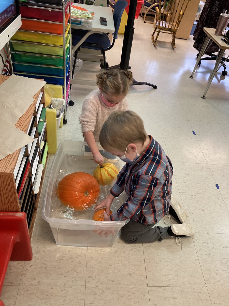 NHPreK's tweet photo. Five Little Pumpkins and exploring sink and float with pumpkins. https://t.co/uIxvBFK1pG