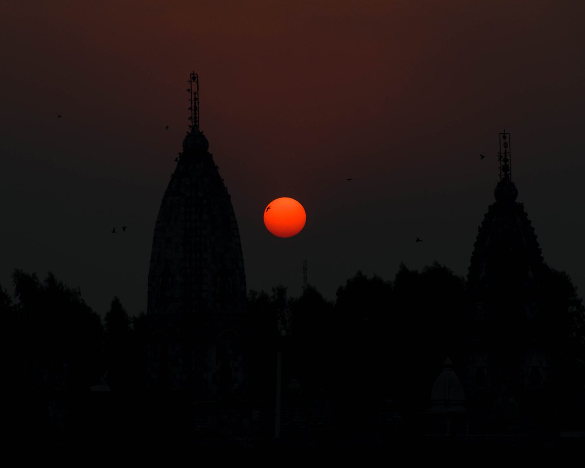 Simple beauty 17...
.
.
Shot on @NikonIndia D5300
1/320
f/8
ISO100
140mm
.
.
#sun #sunset #clear #sky #birds #flying #adobe #lightroom #edit #nikon #photography #nature #beauty #orange #temple #silhouette https://t.co/vykc3TFVib