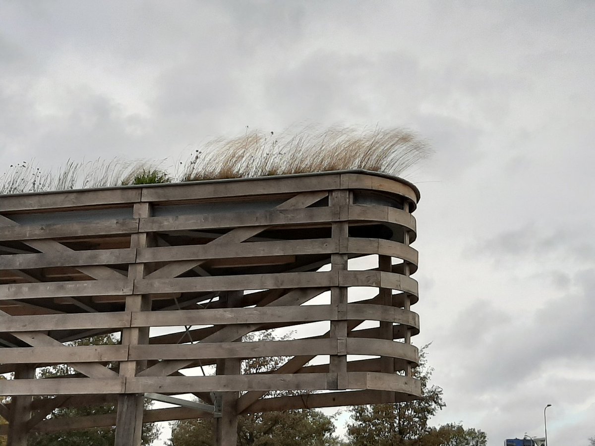 Bureau_RIS's tweet photo. Het entreegebouw bij zwemplas #Krimpenerhout, een erg mooie plek om in Coronatijd even lekker uit te waaien! Designed by #StudioFrame https://t.co/AVGCGGFYW8