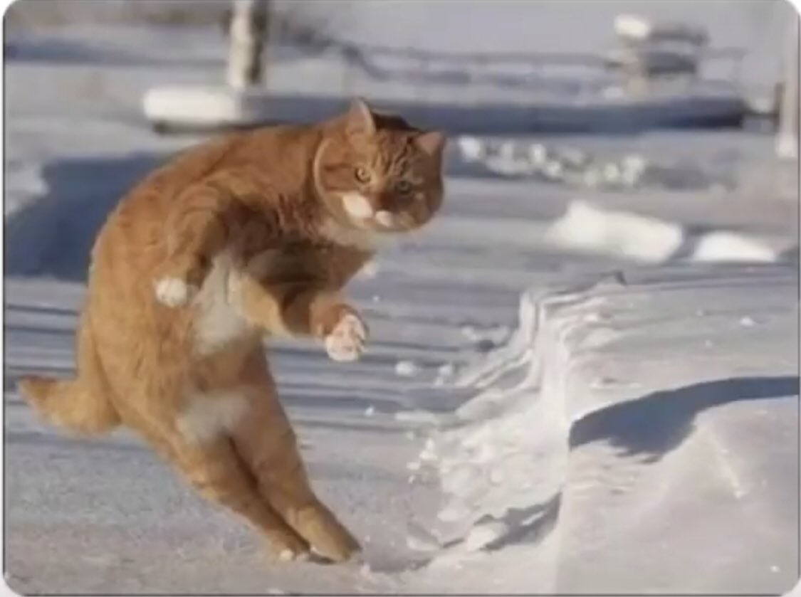 thaboyim's tweet photo. David luiz when he sees Bellerin or Tierney running down the flanks https://t.co/qFyQNUMFLv