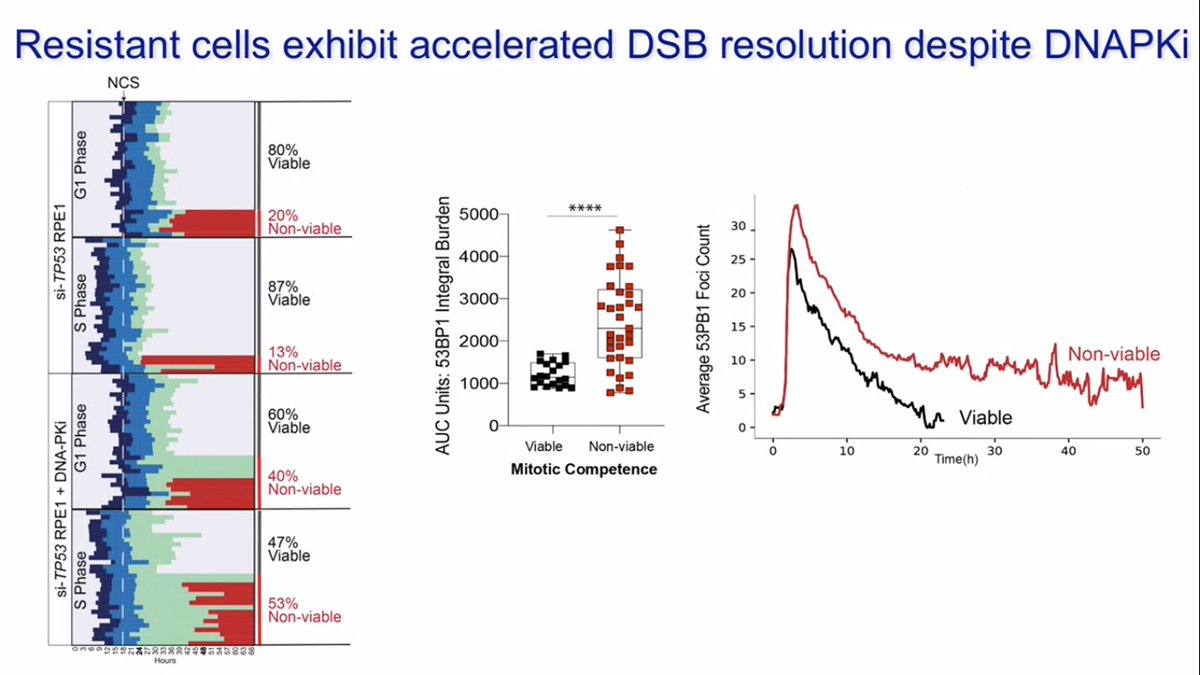 3/3 I am curious if TP53 will pan out as predictor of radioresistance in the clinic. Complicated protein, not all mutations are equal & by itself it may have more prognostic rather than predictive value in patients treated with  #radiotherapy Wonder what others think? #ASTRO20