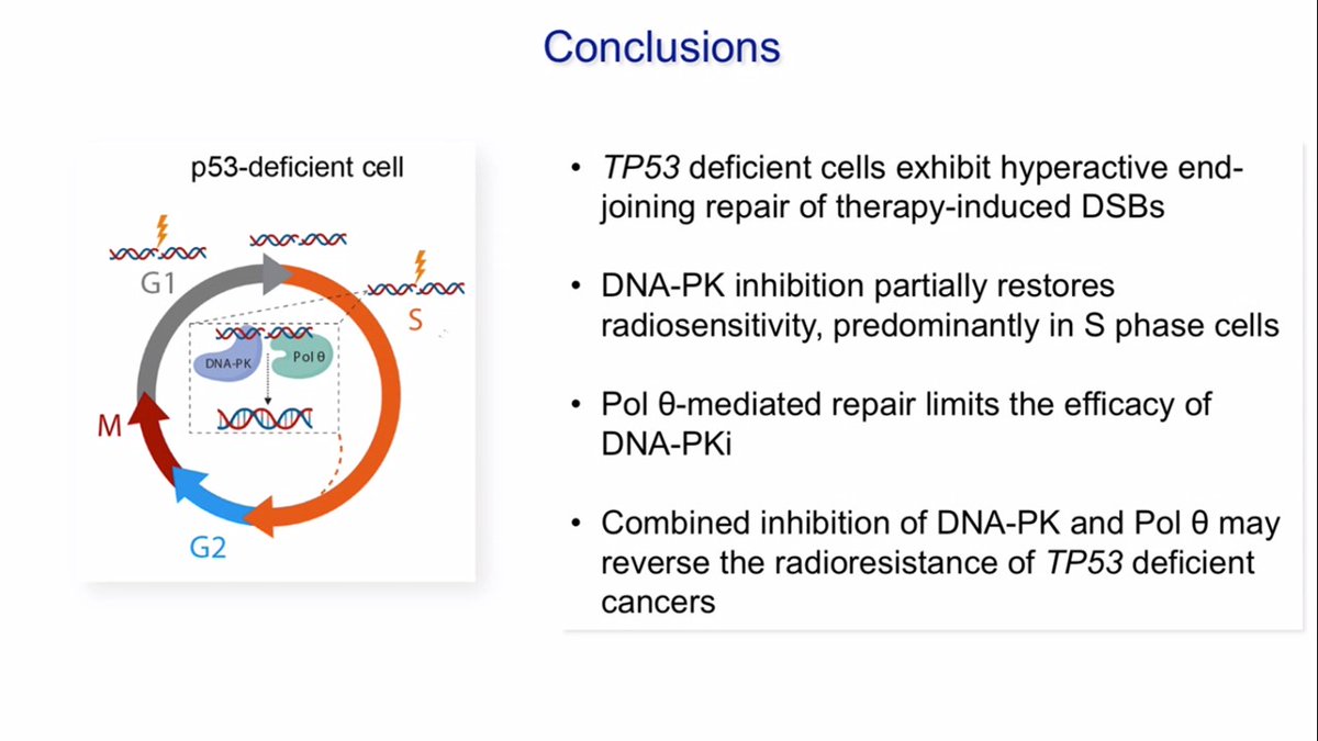 3/3 I am curious if TP53 will pan out as predictor of radioresistance in the clinic. Complicated protein, not all mutations are equal & by itself it may have more prognostic rather than predictive value in patients treated with  #radiotherapy Wonder what others think? #ASTRO20