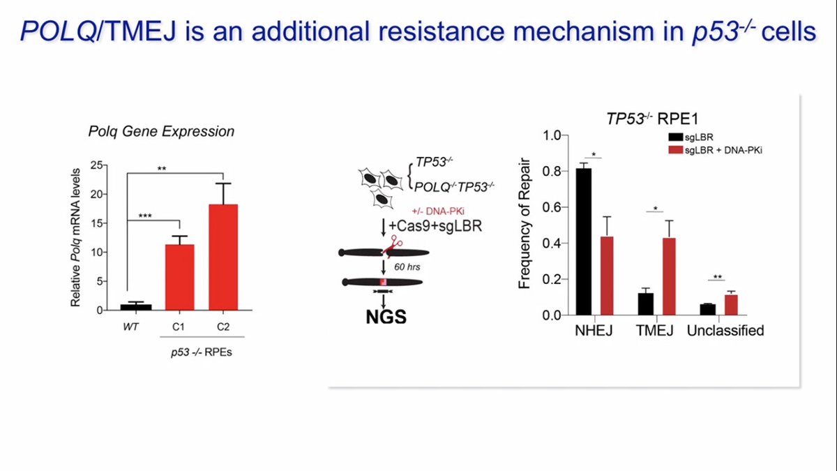 3/3 I am curious if TP53 will pan out as predictor of radioresistance in the clinic. Complicated protein, not all mutations are equal & by itself it may have more prognostic rather than predictive value in patients treated with  #radiotherapy Wonder what others think? #ASTRO20