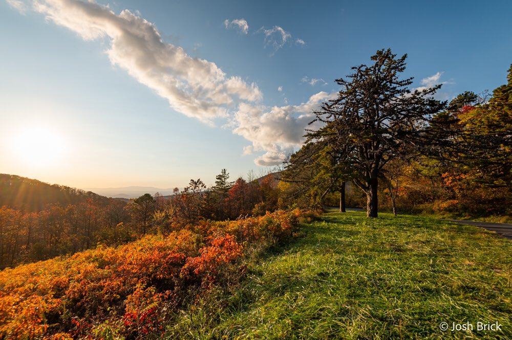 Golden hour at @ShenandoahNPS #ShenandoahNationalPark #nps #goldenhour #nature #NaturePhotography #naturelover #landscapephotography #landscape #nikon #nikonphotography @edayphotos @HarmonyMindBody @ThePhotoHour @StormHour @scenicvirginia @VisitVirginia @NikonUSA @VisitShenCoVA https://t.co/1dIkyTEcIA