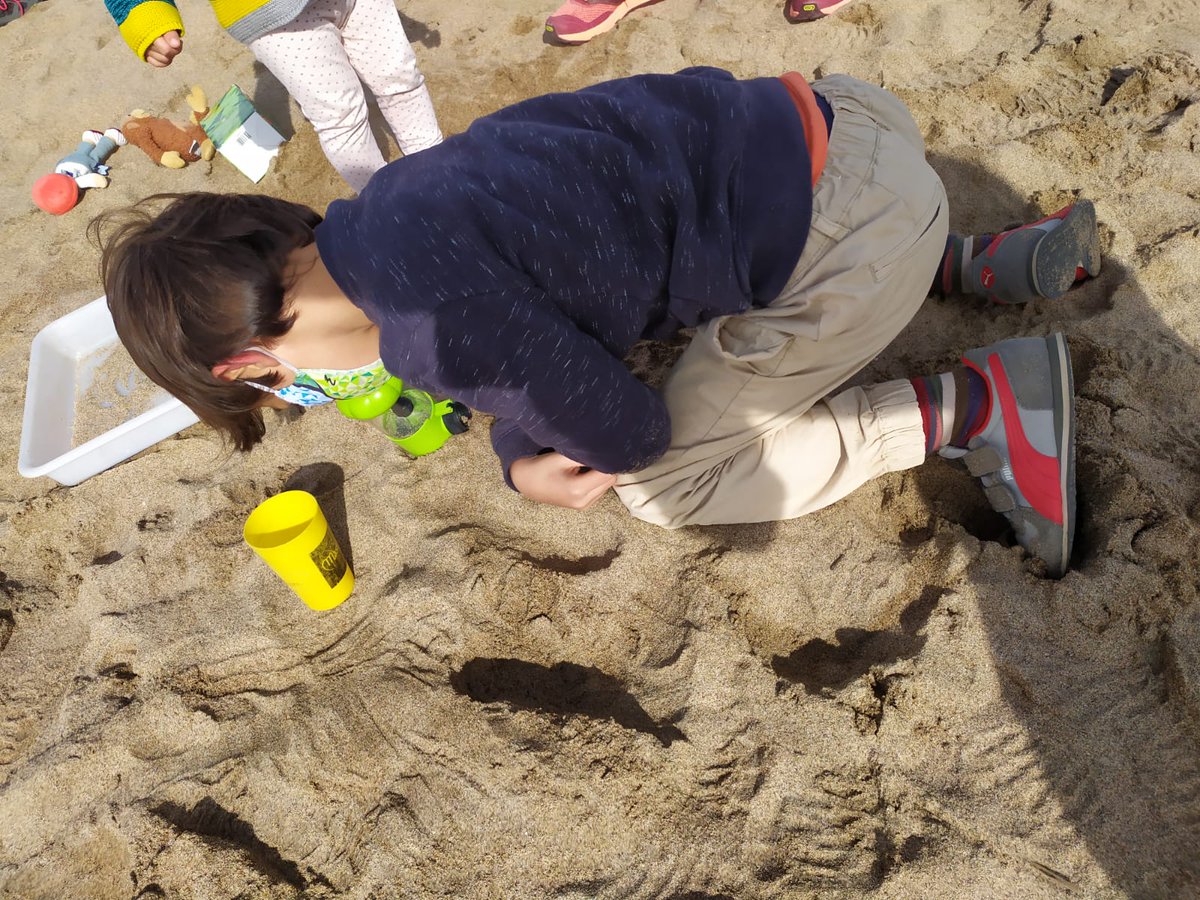 MdlMediterrania's tweet photo. Avui al matí hem fet el taller "Què és una platja?" Hem explicat com s'origina, quins elements la formen i com l'hem de cuidar. Una activitat que ens ajuda a prendre consciència de la problemàtica dels plàstics al medi #educacióambiental #sostenibilitat https://t.co/QO0Oe5WTH2