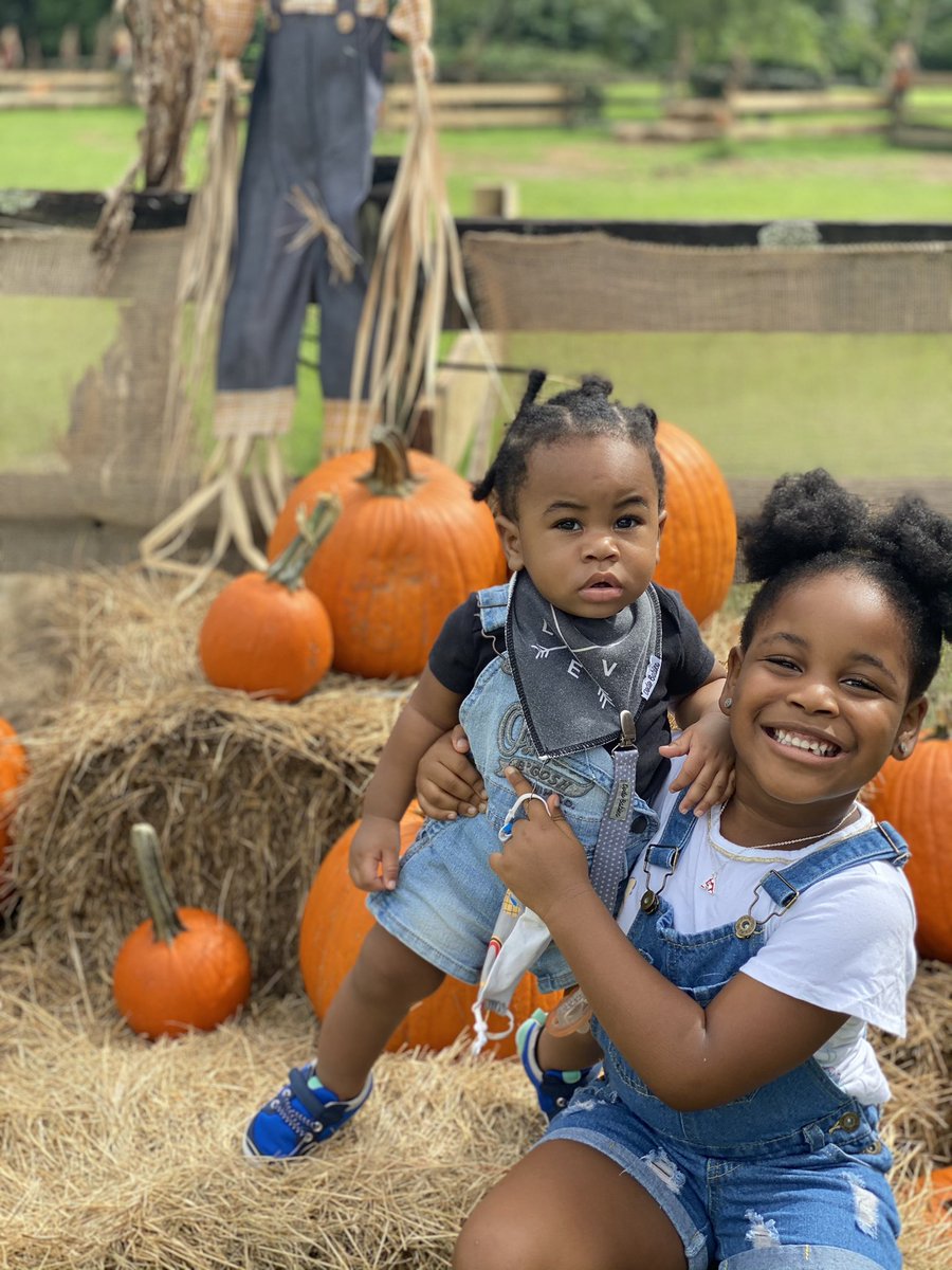 Sparkie_Raven's tweet photo. Pumpkin patch weather. #PineAndGinger🥰😍 https://t.co/npVe20NXrJ