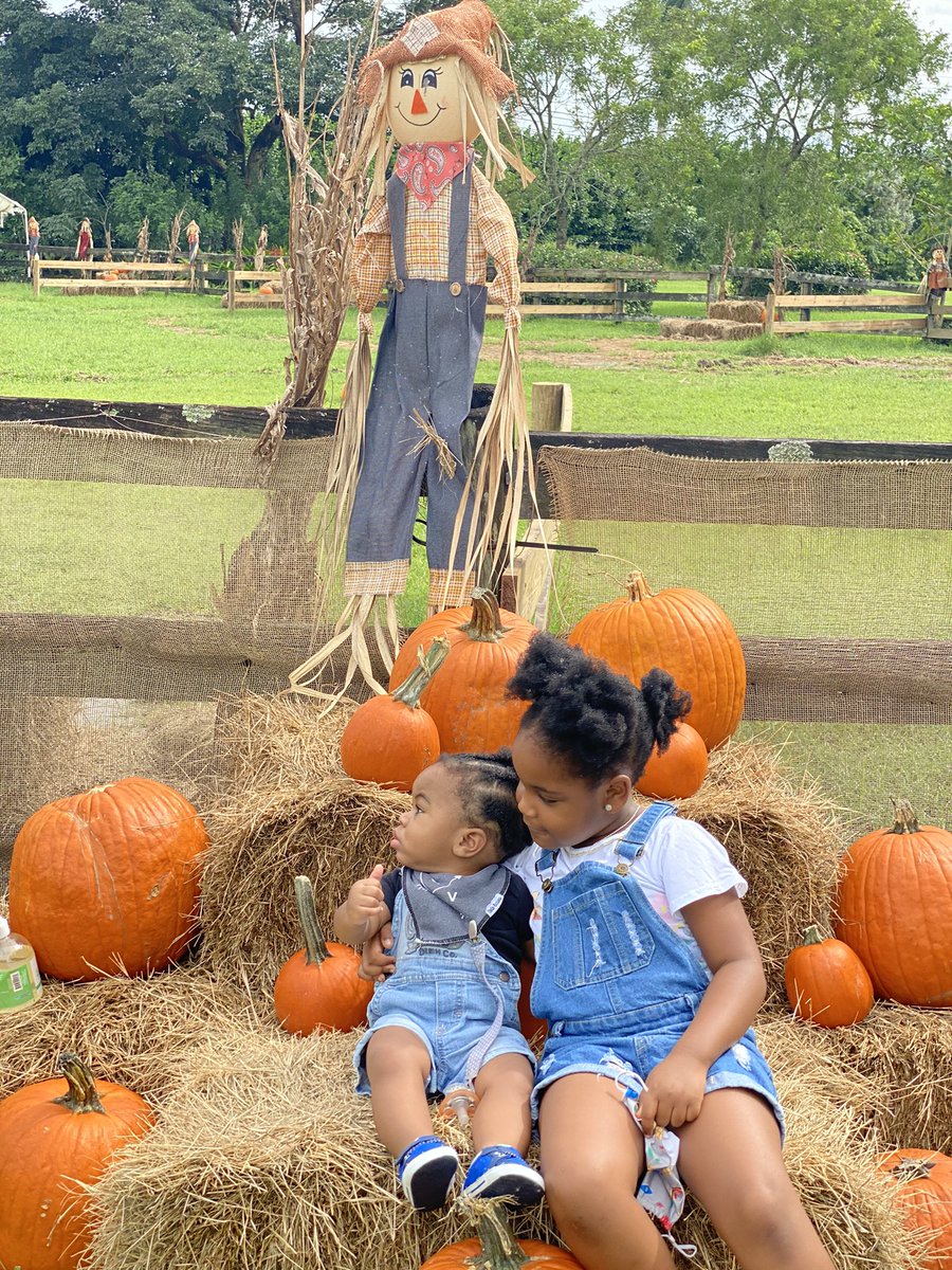Sparkie_Raven's tweet photo. Pumpkin patch weather. #PineAndGinger🥰😍 https://t.co/npVe20NXrJ