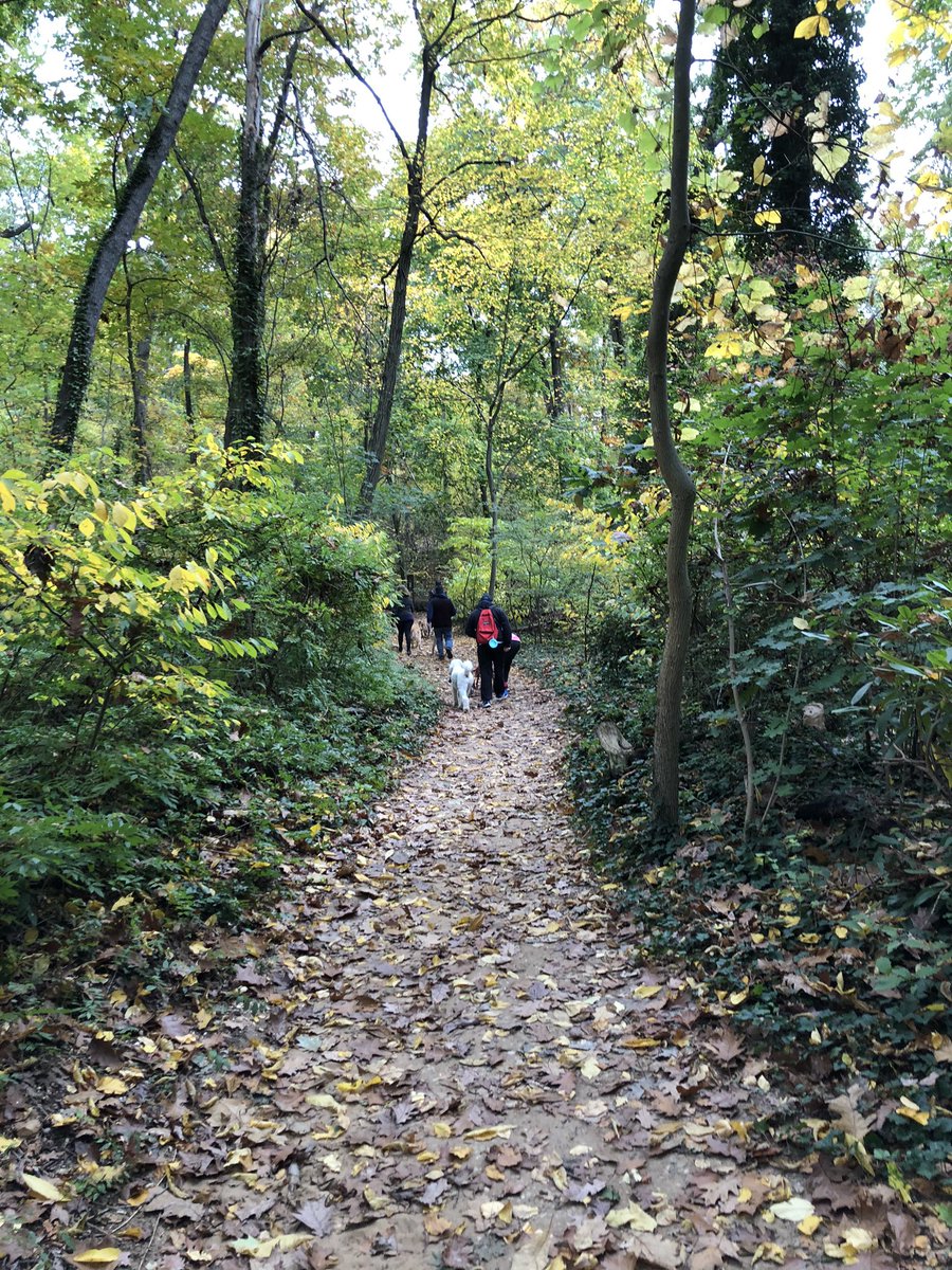 LI_Dog's tweet photo. Great LI-DOG Pack Walk at beautiful Sands Point Preserve today! #LIDOG #LIDOGPackWalk #SandsPointPreserve https://t.co/fU6wTbaaRg