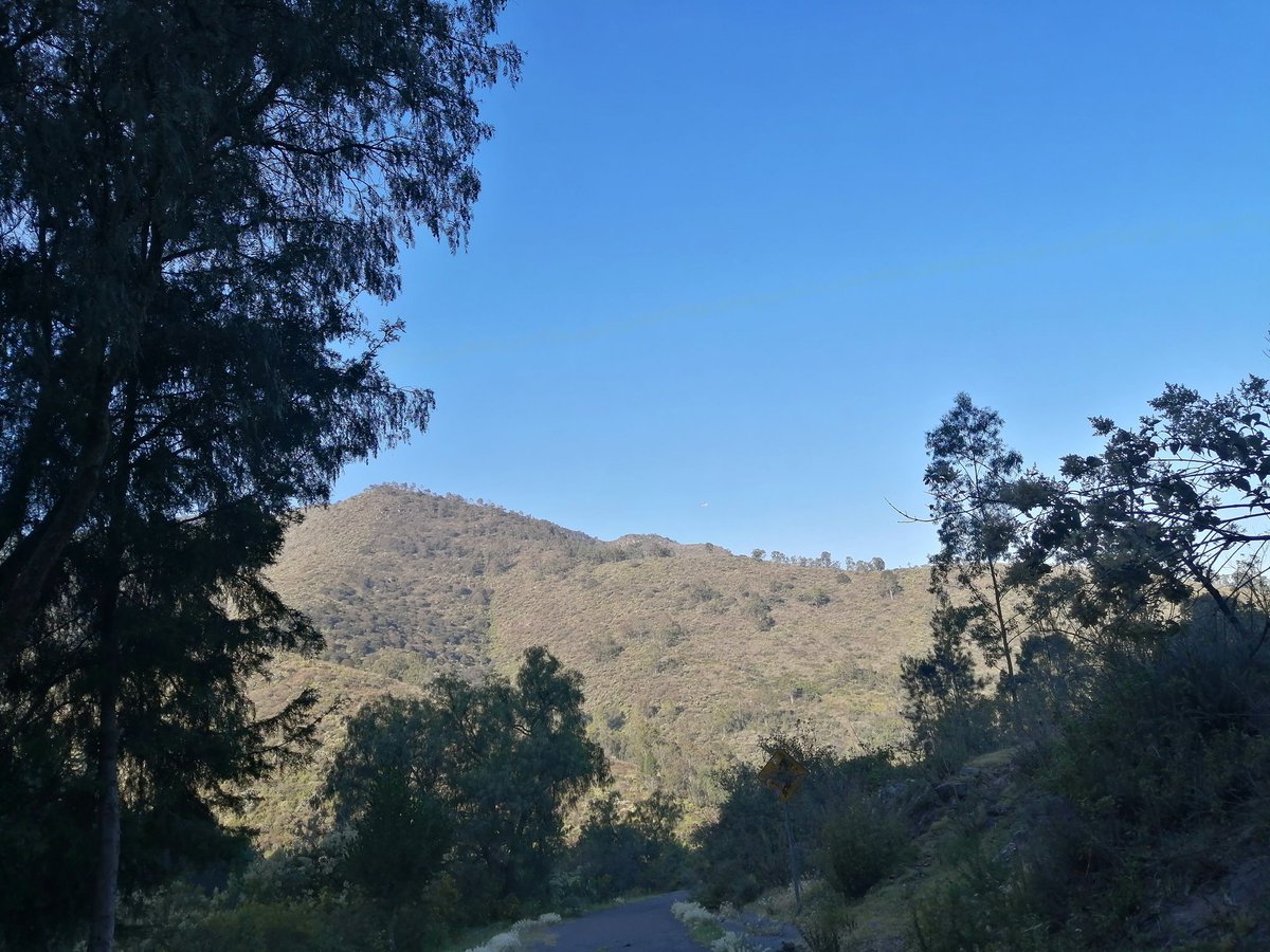 deyani0715's tweet photo. 🏃🏻♀️⛰️🤪 Long Run 🤪⛰️🏃🏻♀️ #HappySunday
#YoElegíCorrer #LoveRunSmile #CorrerEsVivir #CorreLibre #MountainRunning #RUNAHOLICS #Run2020 https://t.co/6879x8lV9r