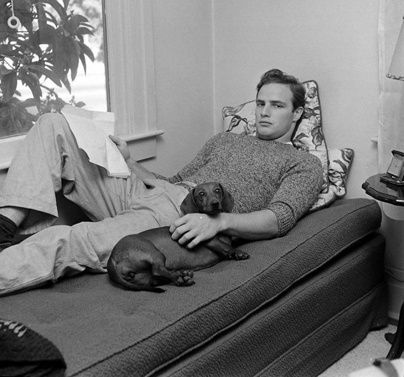 classicization's tweet image. 