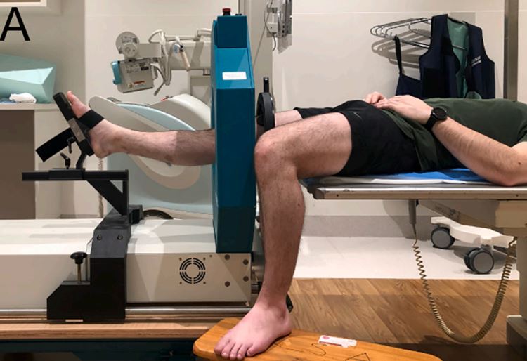 COTR Adelaide (@cotr_adelaide) on Twitter photo Just Published: The first study to combine in vivo pQCT measurements of vBMD at the knee and walking gait mechanics.
Congrats to Honors student Andrew Waters and supervisors <a href="/domthewlis/">Dominic Thewlis</a> <a href="/EgonPerilli/">Egon Perilli</a> & Prof Bogdan Solomon
pubmed.ncbi.nlm.nih.gov/32987197/
#RAHResearch #bone #gait Just Published: The first study to combine in vivo pQCT measurements of vBMD at the knee and walking gait mechanics.
Congrats to Honors student Andrew Waters and supervisors <a href="/domthewlis/">Dominic Thewlis</a> <a href="/EgonPerilli/">Egon Perilli</a> & Prof Bogdan Solomon
pubmed.ncbi.nlm.nih.gov/32987197/
#RAHResearch #bone #gait