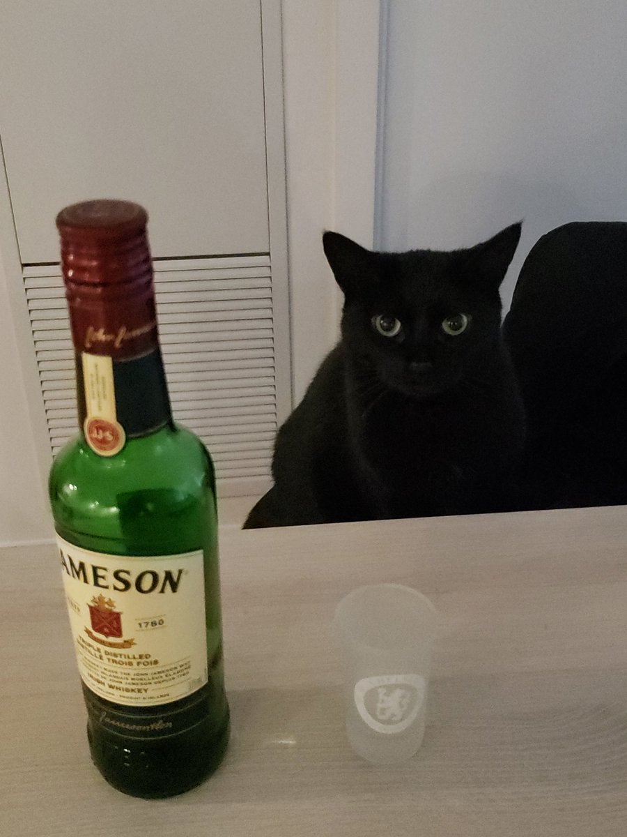 My friend helping me coping with #COVID19 lock down
#CatsOfTwitter https://t.co/n7euJIP5Dm