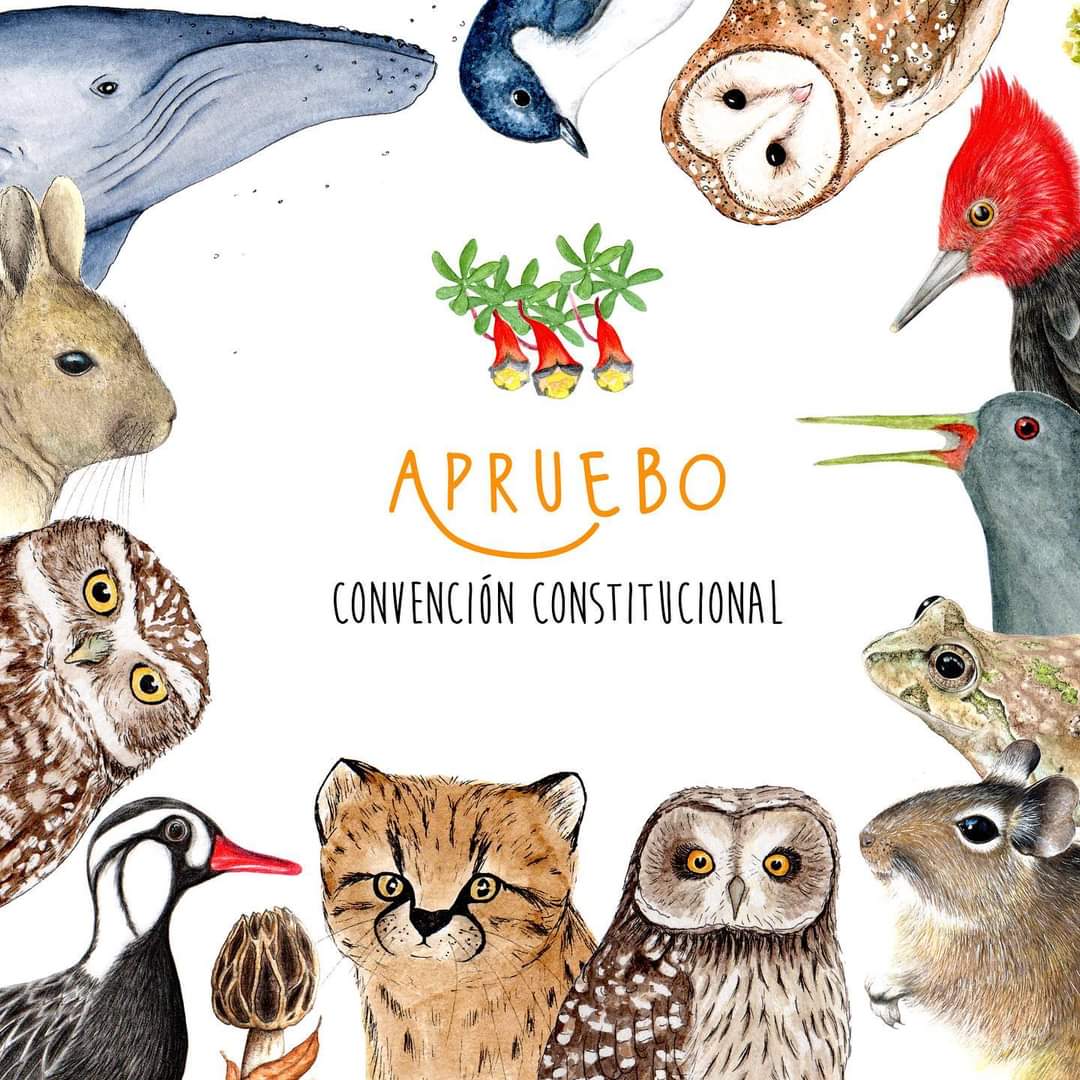 ADEFAS2001's tweet image. 💚🍃🌳🌲🌵🦎🦊🐸🐢🦅🐳🦟🐞🐝🦋🐾
facebook.com/14249892966981…