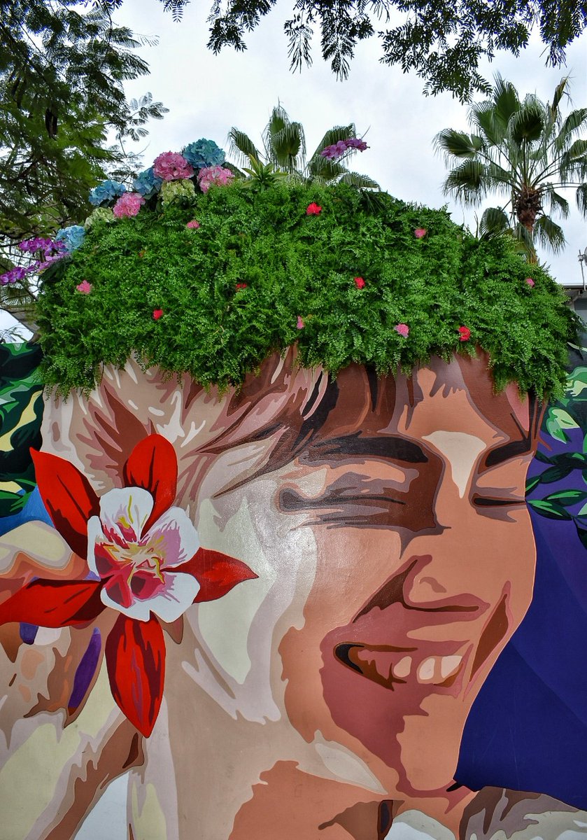 FLOWERCANTOS1's tweet photo. #Guayarte #Guayaquil https://t.co/tzurK0NocD