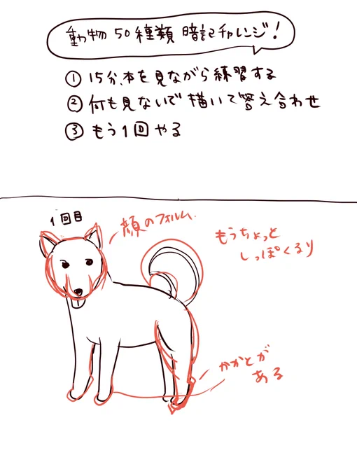 俺の #コルクラボマンガ専科 はまだ終わってないぜ!ということで

今日から #動物50種類暗記チャレンジ をやります?✨身体の形が難しいね…

(漢字を覚えるように、50種類くらい暗記して描けるようになると一気に絵が上手くなるよ!と習ったので実験。果たしてあい茶は絵が上手くなるのか…!?) 