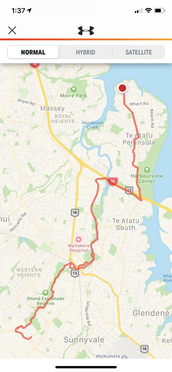 sniskybobfry's tweet image. Gorgeous Spring day for a cycle out in westerly direction. Through vineyards, horse paddocks and countryside. #LabourWeekend