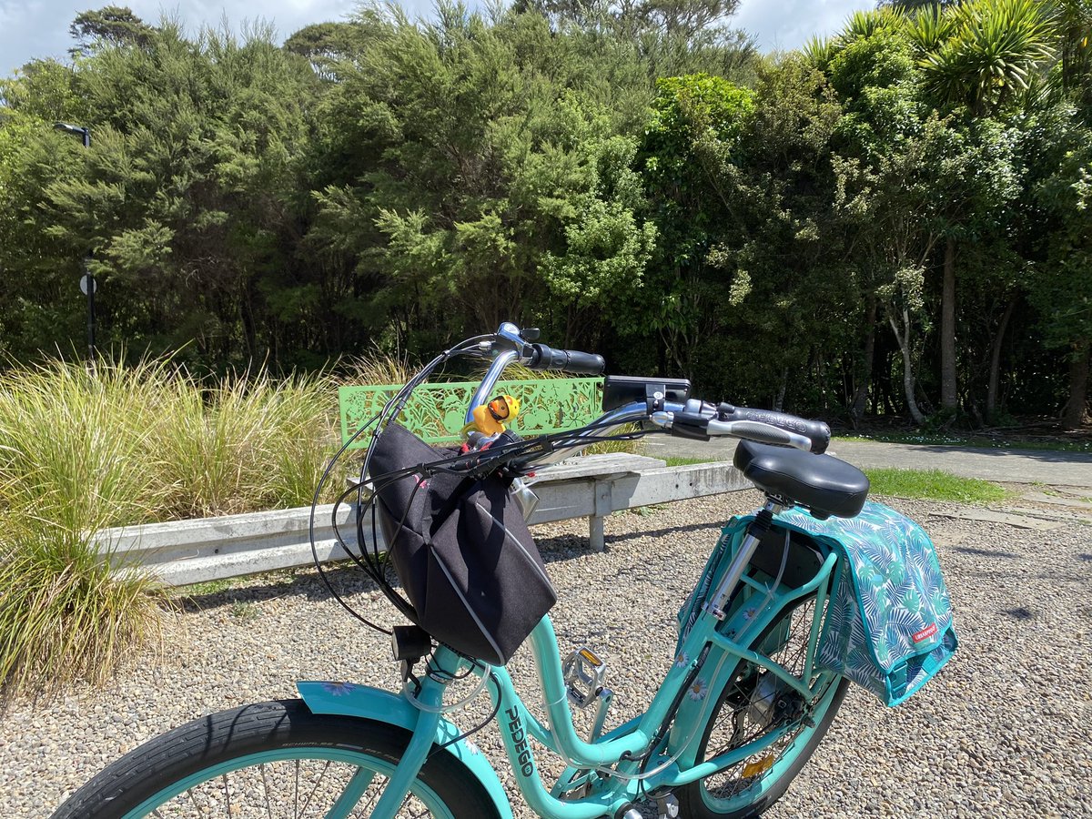 sniskybobfry's tweet image. Gorgeous Spring day for a cycle out in westerly direction. Through vineyards, horse paddocks and countryside. #LabourWeekend