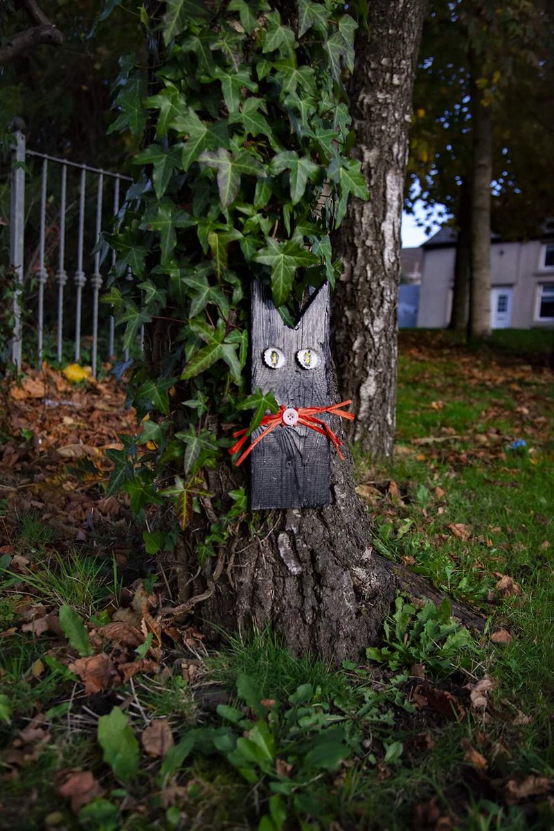 VisitNewRoss's tweet photo. Take a stroll down by the Three Bullet Gate and look very carefully and you will see all kinds of cute, magical Fairy Houses tucked into trees, A local person wanted to add a little wonderment and joy especially this year as we are all needing more smiles than ever. https://t.co/TAvlrd7T4h