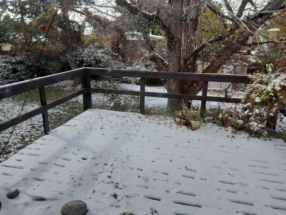 Neilfan12's tweet image. 🌨❄ Look what we got our first dusting of today. Quite early for this. Usually don't get our first #snow until mid to late November. But 2020 does it's own thing as we all know. Not a good sign!
❄👿 #SnowIsEvil 👿❄