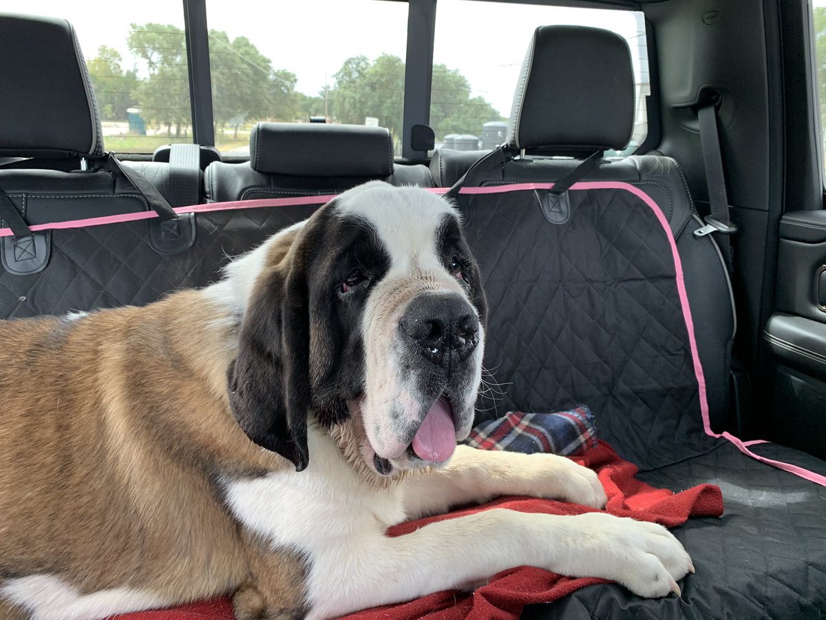 Amanda Neece tweet media